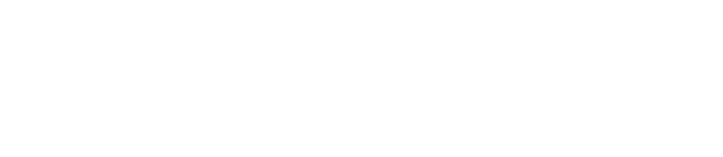 Wit Logo Nissei